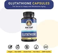 Ancient Bliss S-Acetyl Glutathione Supplement – Plant-Based Antioxidant Formula for Daily Wellness – 60 Vegan Capsules