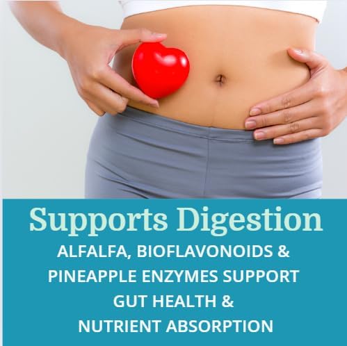 SuperV (6 Pack) Best Process AlkaIine — Energizing & Detoxifying Multivitamin — Vitamins & Minerals with Digestive Enzymes, Superfoods and Herbs