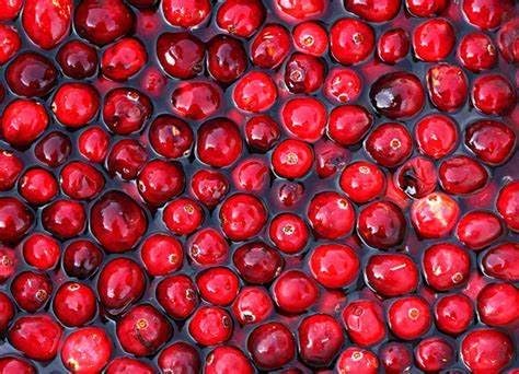 uric Acid Crystals Joints - URIC Acid - uric Acid Management, Supplements for uric Acid, Natural Ways to Lower uric Acid, Cranberry Extract, Cranberry Supplement for Men, Tart Cherry Extract 2Bot