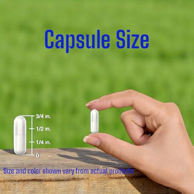 Choline and Myo-Inositol Supplement, 1000 mg Each, 120 Veggie Capsules 100% Vegetarian, Non-GMO & Gluten Free