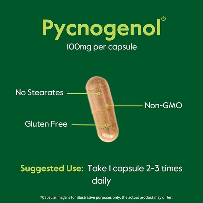 BESTVITE Pycnogenol 100mg (120 Capsules) (60x2) - French Maritime Pine Bark Extract - No Stearates - Gluten Free - Non GMO
