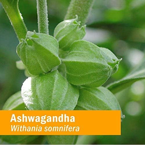 Herb Pharm Ashwagandha Liquid Extract: Organic, Calming Ayurvedic Adaptogen, Stress Support Supplement | Fast-Absorbing & Sugar-Free Ashwagandha Tincture | Up to 3 Week Supply, 1 oz*