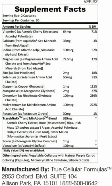 MIN12Absorb™ Essential & Trace Mineral Complex | Soy-Free, Non-GMO, Vegan, 30-Day Supply - Enhanced Absorption for Cellular Health and Daily Vitality