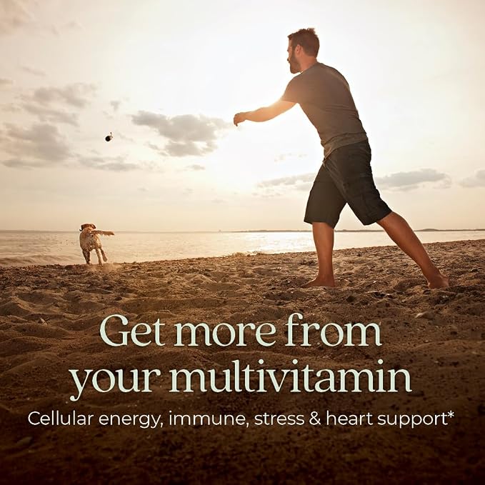 New Chapter Men’s Multivitamin, B6, Extra B12, D3, Vitamin C & Zinc, Immune, Heart, Cellular Energy, and Brain Health, Gentle on The Stomach, One Daily, Non-GMO, Gluten-Free, 18+, 48 Tablets