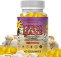 Lion’s Mane Sugar Free, Vegan Gummies, High Potency, Double Extracted, 60 Gummies