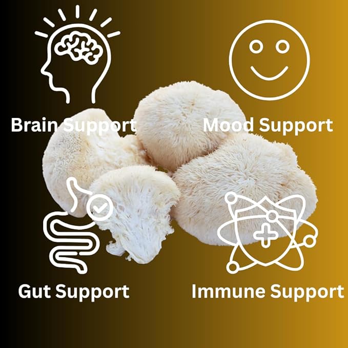 Lion’s Mane Sugar Free, Vegan Gummies, High Potency, Double Extracted, 60 Gummies