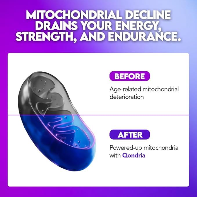 Urolithin A Supplement 500mg with 4-in-1 Power Blend of Spermidine 10mg, Shilajit 300mg & Cordyceps 400mg Per Serving - Boosts Cellular Energy, Strength, Longevity, Immunity & Healthy Aging