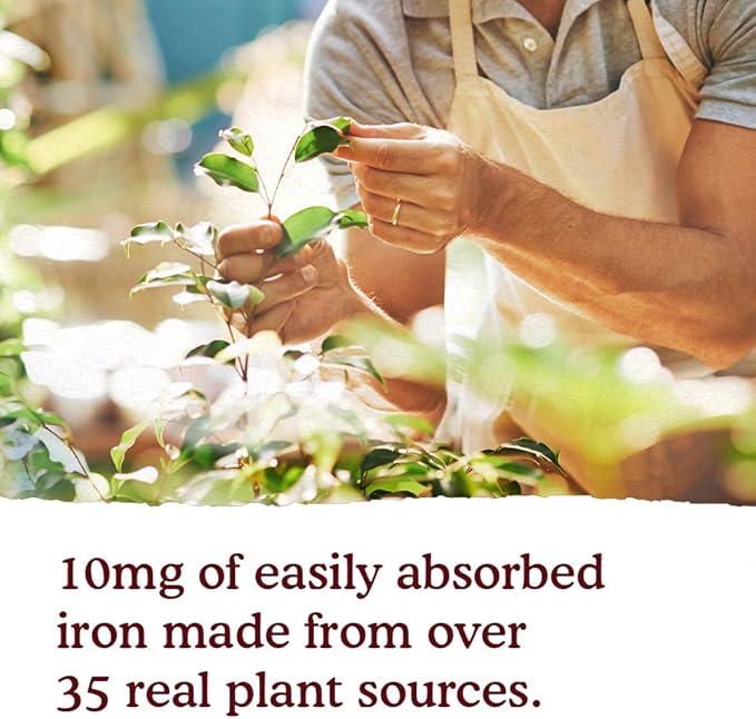 Garden of Life Organics Plant Iron & Organic Herbs - Organic Plant-Sourced Iron + Herbs (Cranberry-Lime Liquid) 8oz Liquid