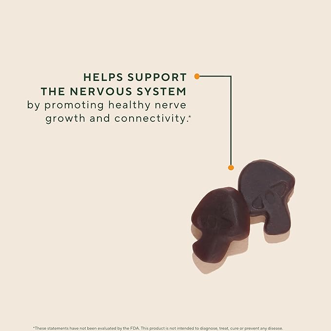 OM MUSHROOM SUPERFOOD Lion’s Mane Mushroom Gummies – USA Grown Organic Lion’s Mane – Supports Memory, Focus & Cognitive Health – Strawberry Flavor – 30 Servings, 60 Count.