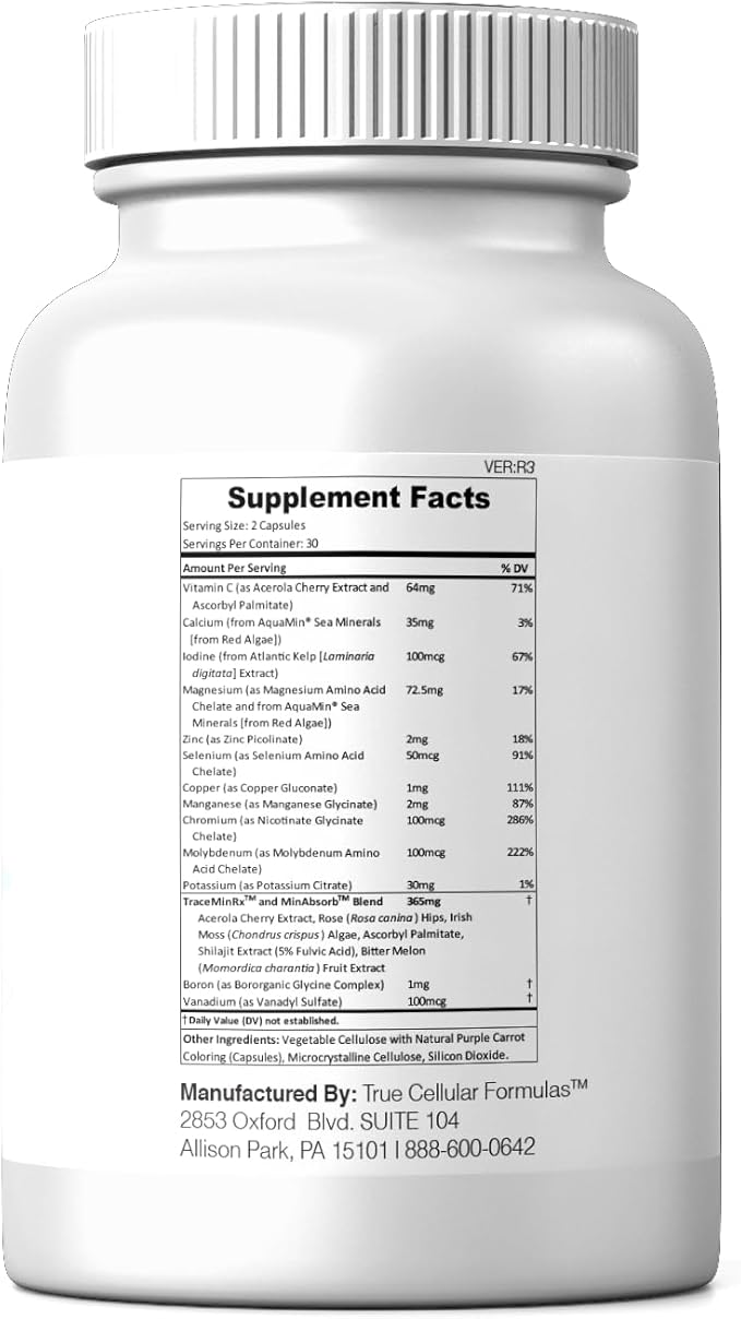 MIN12Absorb™ Essential & Trace Mineral Complex | Soy-Free, Non-GMO, Vegan, 30-Day Supply - Enhanced Absorption for Cellular Health and Daily Vitality