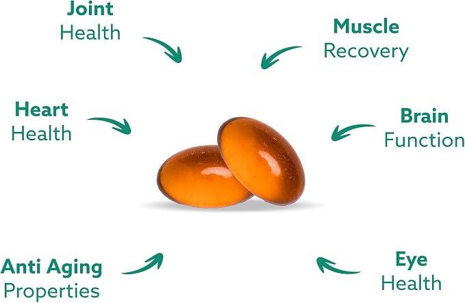 GLX3 Green Lipped Mussel Oil Capsules for Joint and Muscle Support | Extra-Strength ETA, EPA, DHA Omega-3 Green Lipped Mussel Supplement for Comfort, Flexibility & Recovery by HakaLife GLX3
