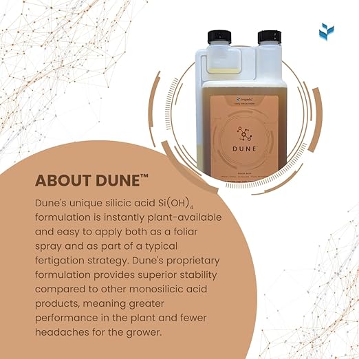Dune - Bioavailable Silica for Plants – Strengthens Cell Walls, Boosts Growth & Stress Resistance – Bigger Yields – Hydroponic & Soil Compatible - Medicinal, Fruit, Vegetable & Ornamental Growers