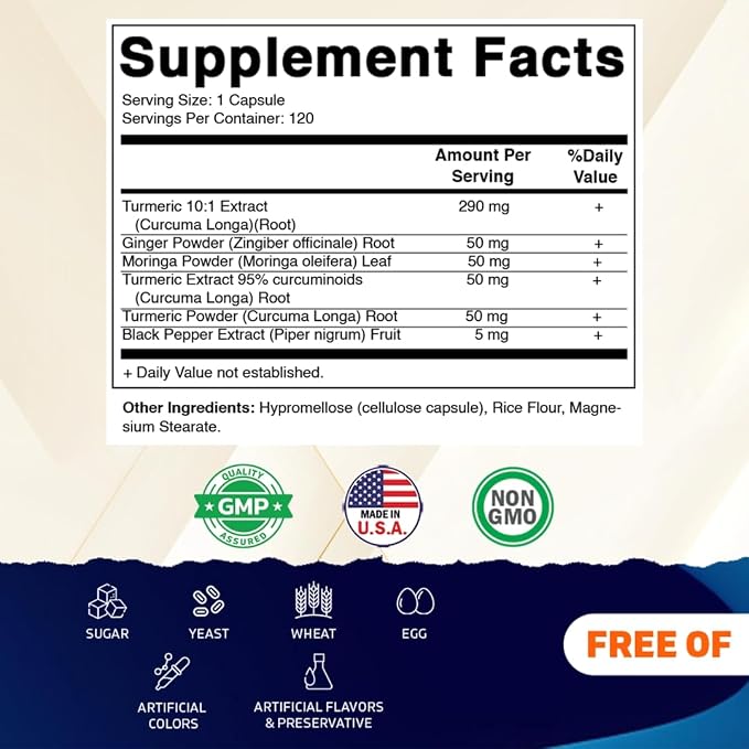 Vitamatic Turmeric Curcumin 10:1 Extract 290 mg – Plant-Based Botanical Extract with Black Pepper 5mg, Ginger 50mg & Moringa 500 mg – Vegetarian, Non-GMO, Gluten-Free – 120 Capsules