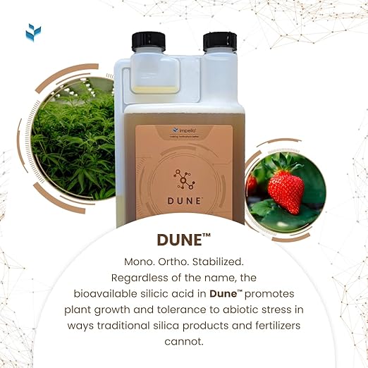 Dune - Bioavailable Silica for Plants – Strengthens Cell Walls, Boosts Growth & Stress Resistance – Bigger Yields – Hydroponic & Soil Compatible - Medicinal, Fruit, Vegetable & Ornamental Growers