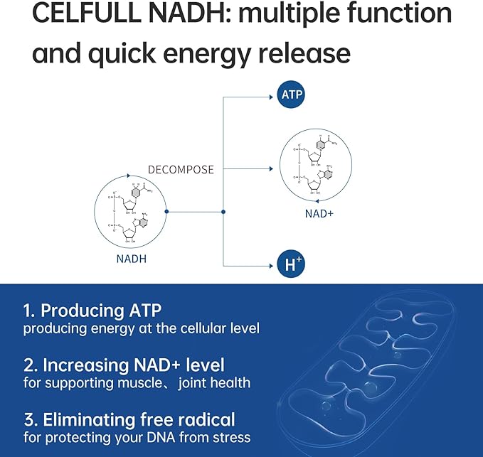 CELFULL NADH Supplement 40mg Enchance NMN Alternative NAD+ Supplement for Immune Support Anti-Aging Boost Brain Cognition & Chronic Fatigue Supplements