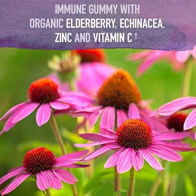Garden of Life Organics Elderberry Gummies for Adults & Kids & Zinc Supplements 30mg High Potency Raw Zinc and Vitamin C Multimineral Supplement