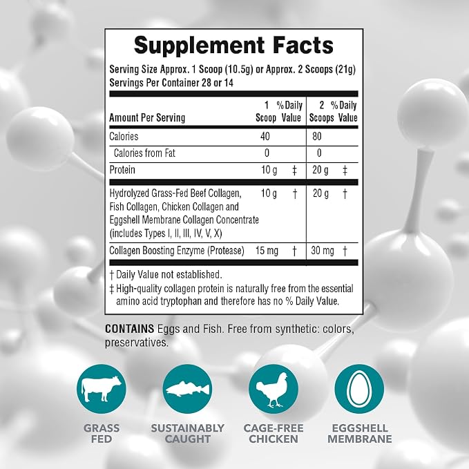 NaturesPlus Collagen Peptides - 0.65 lbs Powder, Pack of 2 - Hair, Skin, Nail & Joint Health, Immune System Support - Non-GMO, Gluten Free - Up to 56 Total Servings