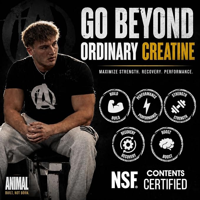 Animal Micronized Creatine Monohydrate Capsules - 300 Caps, 2500mg per Serving to Support Muscle Growth, Endurance, ATP Production, Cognitive Function, Strength, Recovery, and Delay Muscle Fatigue