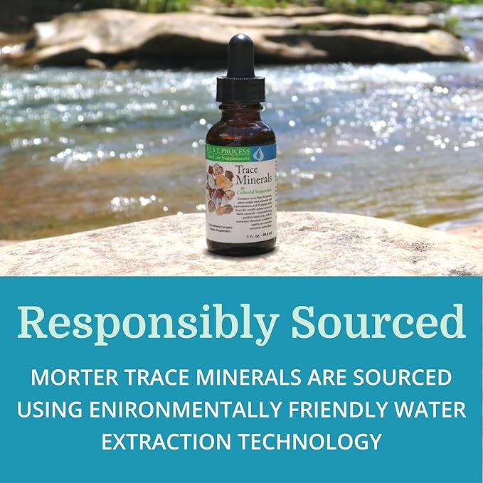 Morter Trace Minerals in Colloidal Suspension (2 Pack) Morter HealthSystem Best Process Alkaline — Nutrient Dense Trace Elements, Fulvic Minerals & Amino Acids