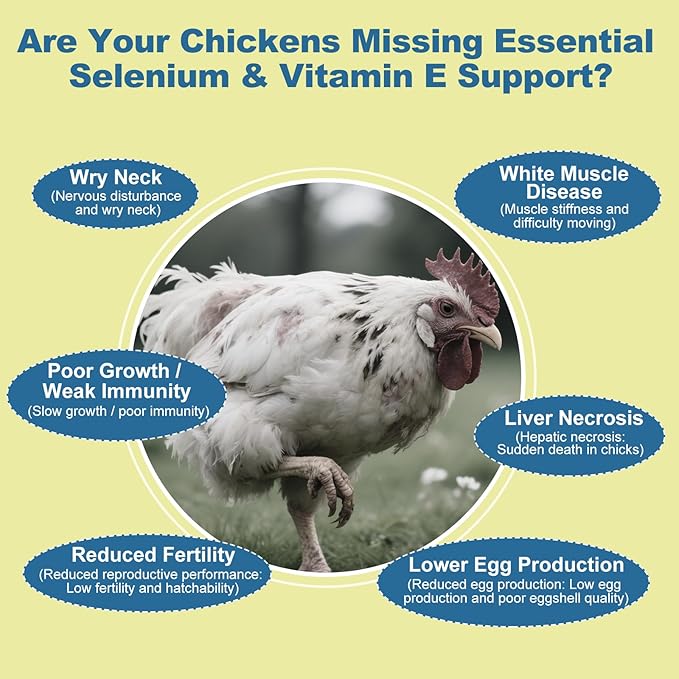 Selenium & Vitamin E Powder for Chickens, Selenium for Chickens, Immune System, Muscle Support & Prevents, Improve Wry Neck, Selenium, Vitamin E Supplements, Suitable for All Poultry, Chicken & More
