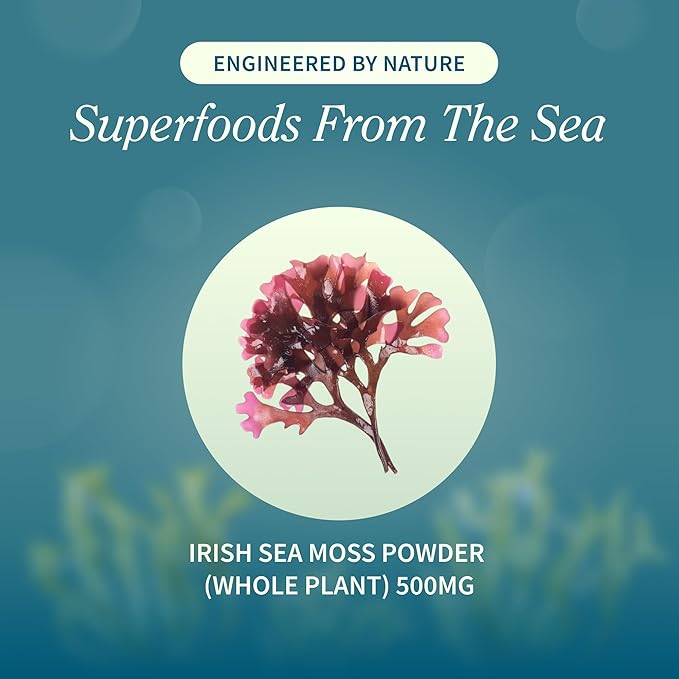 Snap Supplements Irish Sea Moss, Marine Algae Rich in Micronutrients & Antioxidants to Support Healthy Metabolism and Vitality, 60 Sugar-Free Soft Chews