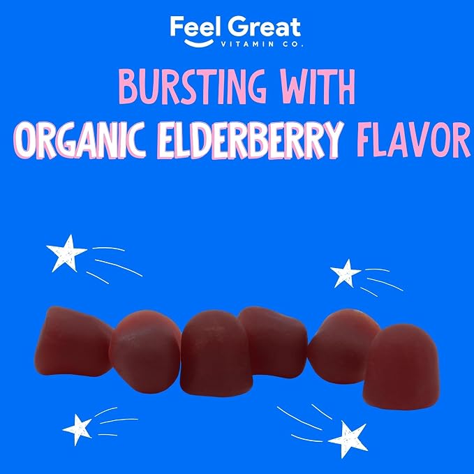 Feel Great Kids Elderberry Gummies with Zinc and Vitamin C | Immune Support Sambucus Elderberry | Berry Flavored Vegan Kids Multivitamins | 60 Day Supply