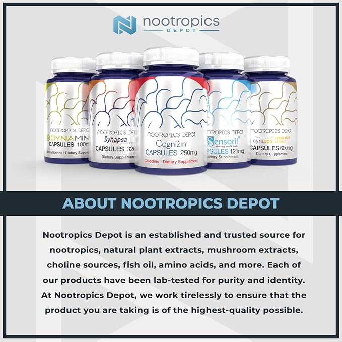 Nootropics Depot Magtein Magnesium L-Threonate Powder | 120 Grams | Mineral Supplement, Natural | Supports Mitochondrial Function, Cognitive Function | Promotes Heart & Cardiosvascular Health