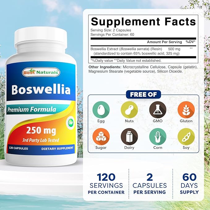 Best Naturals Boswellia Serrata Joint Health 250 mg 120 Capsules - Standardized to 65% Boswellic Acid (120 Count (Pack of 1))
