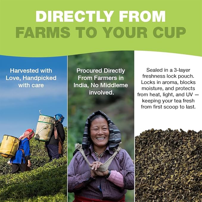 HANDPICK, Green Tea Loose Leaf (255g/9oz) 127 Cups | Non-GMO, 100% Pure Green Tea Leaves Sourced from Himalayas, India | Resealable Ziplock Pouch