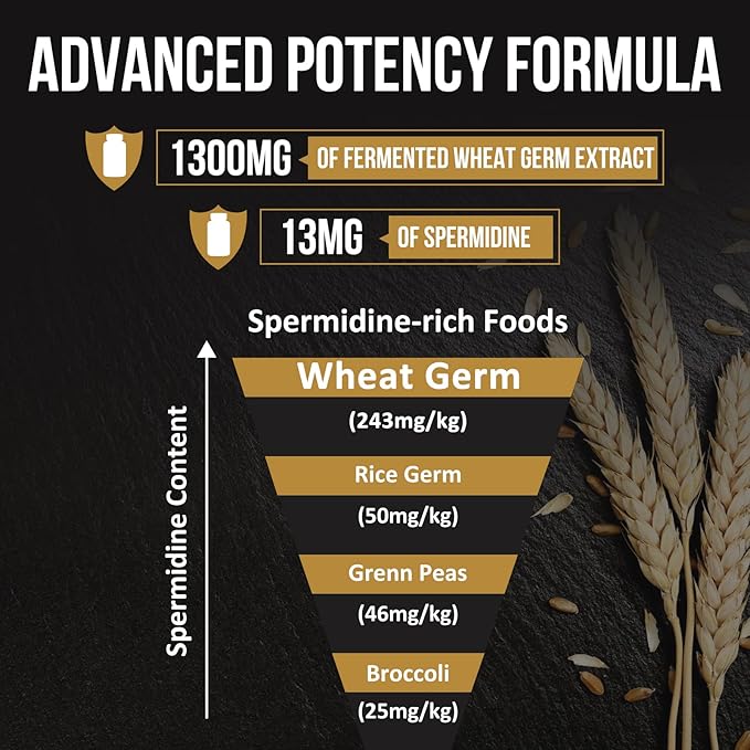 Spermidine Wheat Germ Extract Capsules - 13mg Spermidine Supplements 1300mg Potent Formula with Higher Spermidine Content and Zinc for Healthy Aging, Daily Immune System and Cell Renewal,3 Pack