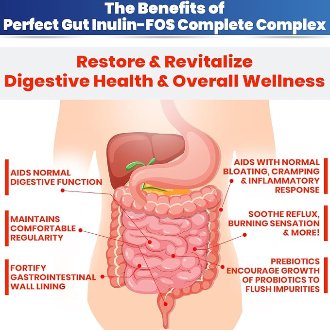 Perfect Gut: Inulin FOS Powder for Gut Health. Prebiotic Inulin. Unique Prebiotic 95% FOS Inulin Agave Fiber