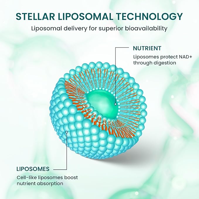 Stellar Liposomal Glutathione Liquid – Premium Absorption Antioxidant for Detox, Immune Support & Cellular Health – Non-GMO, Gluten-Free, Third-Party Tested – 4 fl oz (120 mL)