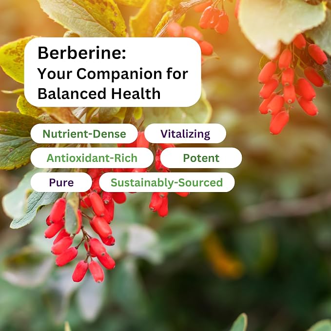 Paradise Herbs, Berberine Extract, 500 mg, Pure & Potent Berberine Supplement, Vegan, Non-GMO, Gluten Free, 180 Vegetarian Capsules