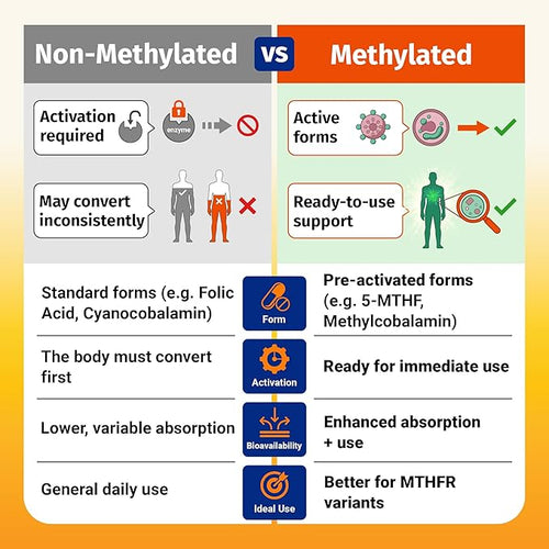1 Body Methylated B Complex with 5-MTHF & Methyl B12 (Methylcobalamin) – Vitamin B Complex for Women & Men – Bioactive B Vitamins for Energy Metabolism, Brain Support & Daily Wellness – 60 Capsules
