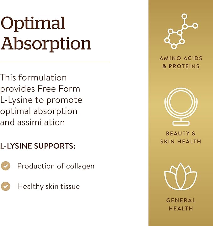 Solgar L-Lysine 1000 mg, 250 Tablets - Enhanced Absorption and Assimilation - Promotes Integrity of Skin and Lips - Collagen Support - Amino Acids - Non-GMO, Vegan, Gluten Free-250 Servings(Pack of 2)