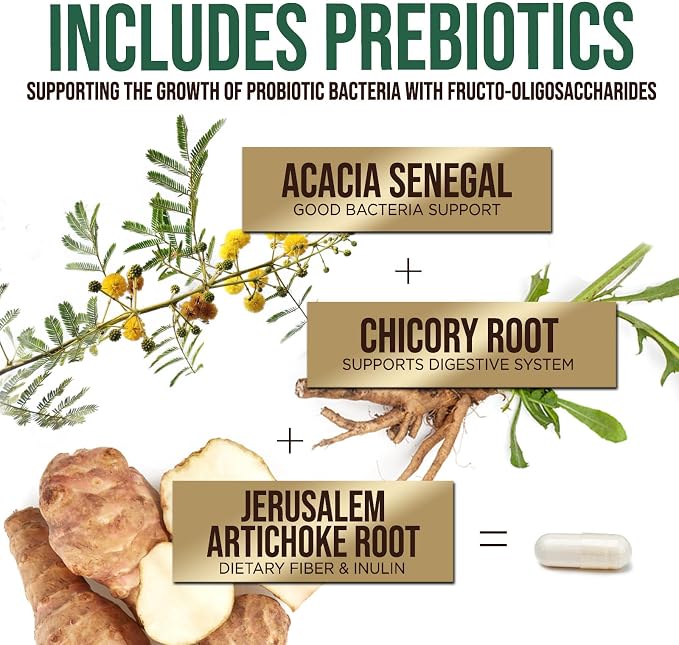 Probiotics 50 Billion CFU per Serving - 10 Strains + Prebiotics - Digestive Health, Gut & Immune Support - Occasional Constipation, Gas & Bloating Support for Women & Men, Bottled USA - 60 Capsules