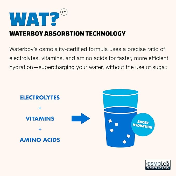 Waterboy Workout Hydration | 2,960mg Sugar Free Electrolyte Powder Packets | L-Glutamine + Vitamins | No Sugar, All Natural, Gluten Free (Variety)