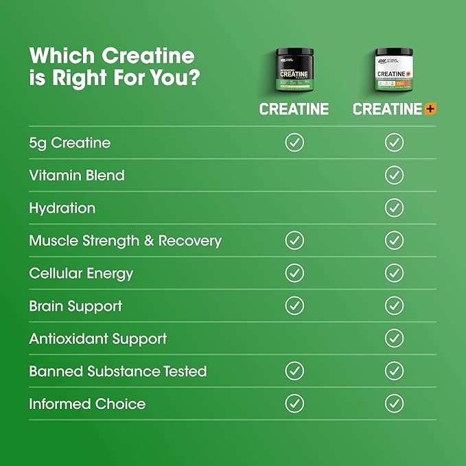 Optimum Nutrition Micronized Creatine Monohydrate Powder, Unflavored, 240 Servings, 1200 Grams (Packaging May Vary)