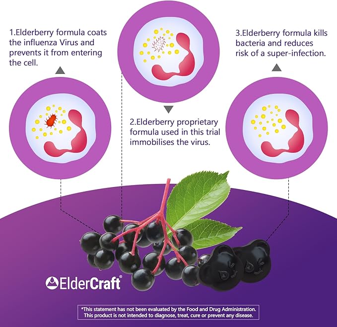 Biobor Natural Black Elderberry Gummies 150mg, Elderberry Fruit Extract with Vitamin C and Zinc, Herbal ElderCraft® Gummies Daily Immune Support for Kids and Adults, 60 Count