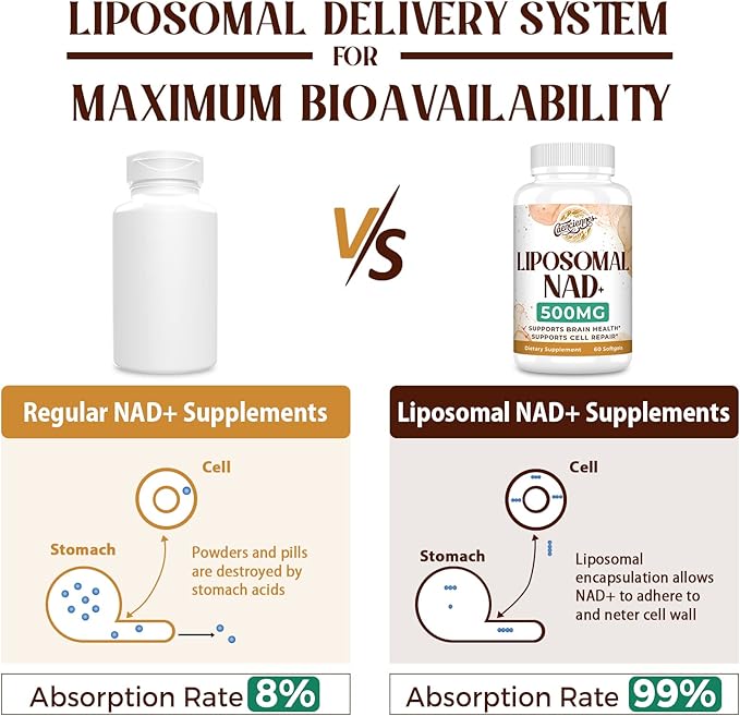 Liposomal NAD+ 500 MG Supplement, True NAD Plus Supplement, Superior Absorption, Boost NAD+ More Efficient Than Nicotinamide Riboside for Cellular Energy, Healthy Aging, 240 Serving