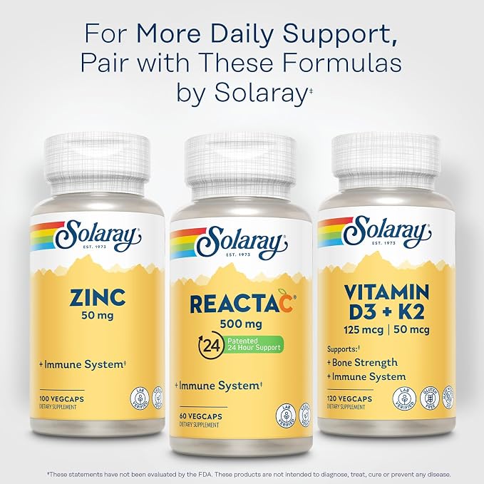 SOLARAY ReactaC Vitamin C 500mg - Patented 24-Hour Immune Support Supplement - Vitamin C with Bioflavonoids and Rutin - Antioxidant and Immune Defense - Vegan, 60-Day Guarantee - 60 Servings