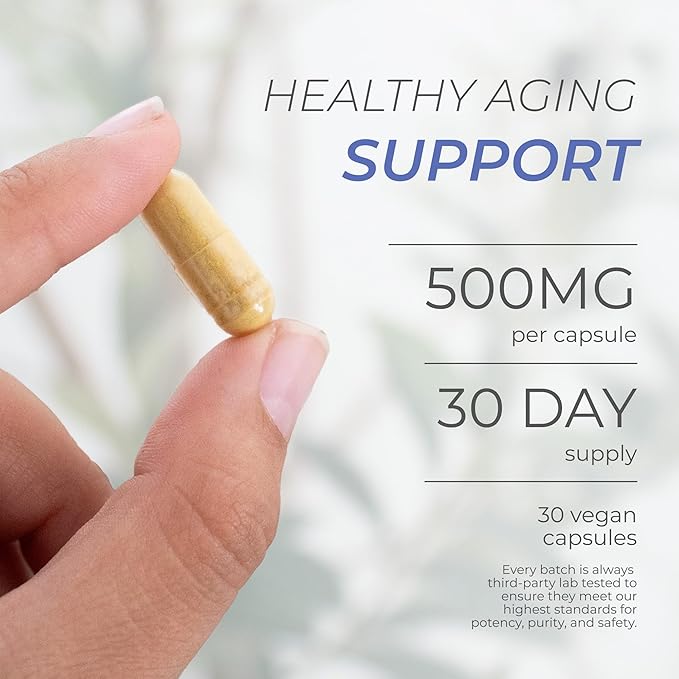 Neurogan Fisetin Supplement 500MG - 30 Count 98% Pure | Healthy-Aging & Brain Health Fisetin Capsules | Brain Supplements for Memory and Focus, Senolytic Support | Natural Polyphenols, Non-GMO
