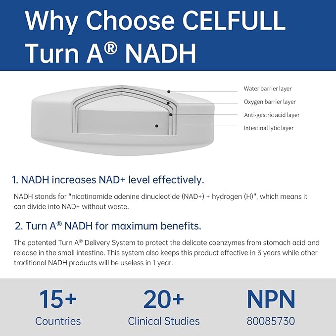 CELFULL NADH Supplement 40mg Enchance NMN Alternative NAD+ Supplement for Immune Support Anti-Aging Boost Brain Cognition & Chronic Fatigue Supplements