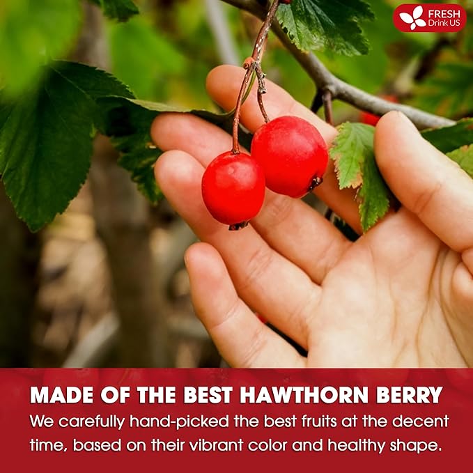 FreshDrinkUS, Premium Hawthorn Berry Tea - 40 Tea Bags - 100% Natural Herbal Infusion, Caffeine-Free, Rich Aroma & Smooth Taste. Vegan