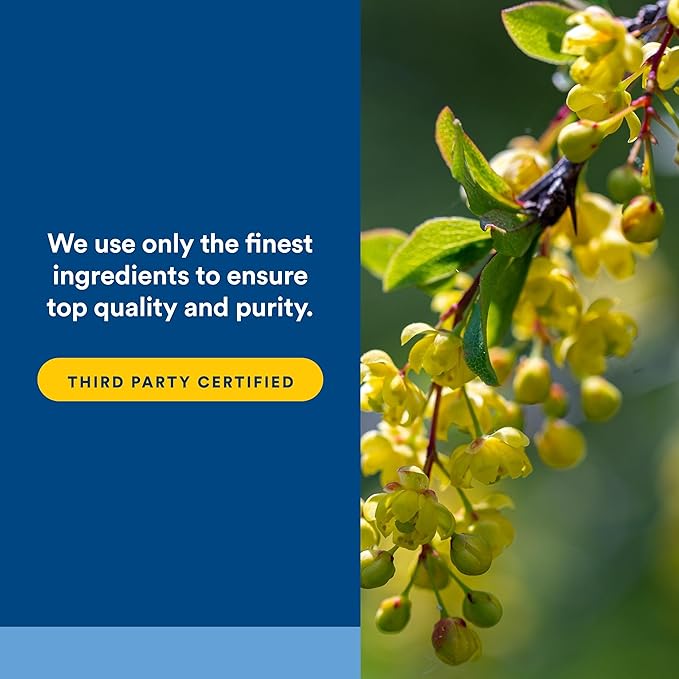 Natural Factors WellBetX Berberine - Daily Supplement Supports Metabolic Health - Formula Supports Healthy Heart - Gluten-Free & Vegan - 120 Vegetarian Capsules (120 Servings)