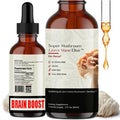 Auri Nutrition Lion’s Mane Liquid Elixir - Brain Supplements for Memory and Focus with Functional Mushrooms - Lions Mane Supplement, Full Spectrum Lion's Mane Extract - No GMO, Vegan Mushroom Tincture