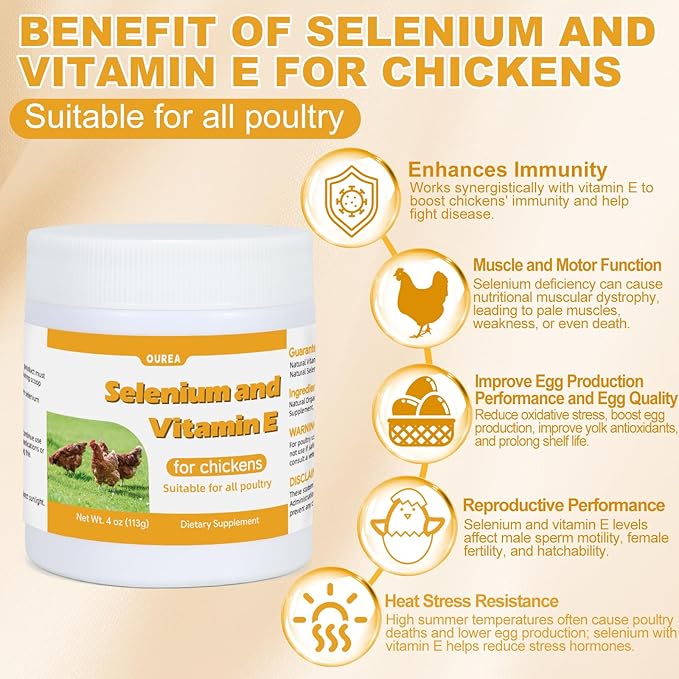 Selenium and Vitamin E Powder for Chickens, Selenium for Chickens, Immune System, Muscle Support & Prevents, Improve Wry Neck, Selenium, Vitamin E Supplements, Suitable for All Poultry, Chicken & More