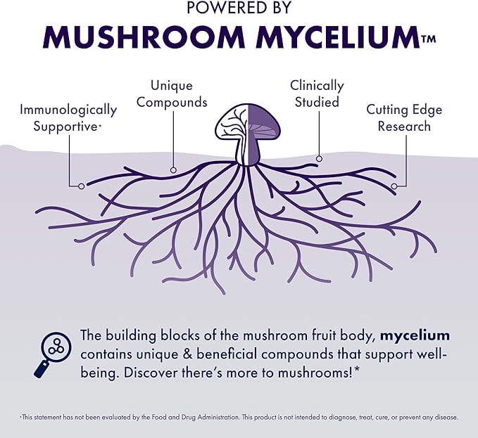Host Defense MycoBotanicals Brain Capsules, 120 ct (Pack of Two 60 ct Units)