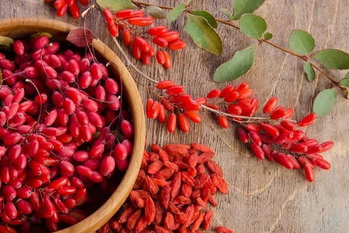 PURE ORIGINAL INGREDIENTS Berberine (730 Capsules) No Magnesium Or Rice Fillers, Always Pure, Lab Verified