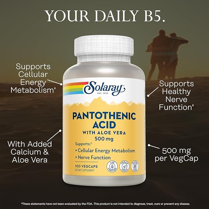 SOLARAY Pantothenic Acid 500mg - Pantothenic Acid Supplement (Vitamin B5) - Essential B Complex Vitamin - Nervous System and Cellular Energy Support - Vegan, Gluten Free, 60-Day Guaratee, 100 Servings